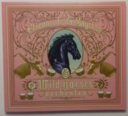 Etienne de la Sayette & the Wild Horses Orchestra