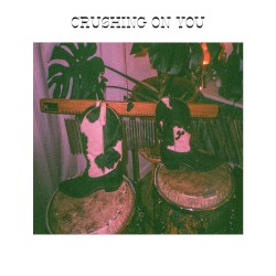 crushing on you