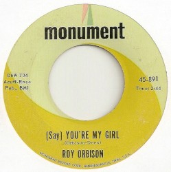 (Say) You're My Girl / Sleepy Hollow