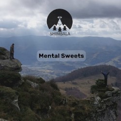 Mental Sweets LP