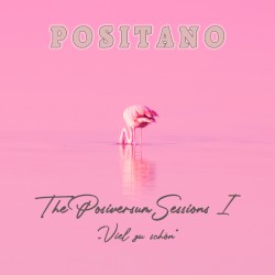 The Posiversum Sessions I: Viel zu schön