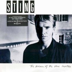 The Dream of the Blue Turtles