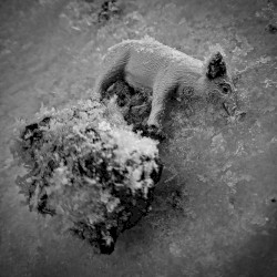 He Was a Good Man, He Was a Taxpayer