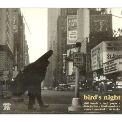 Bird's Night