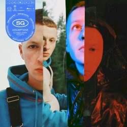 Assumptions (slowed down version)