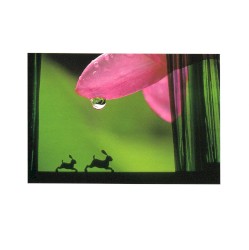 余韻「レゾナンス」