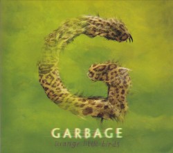 Strange Little Birds