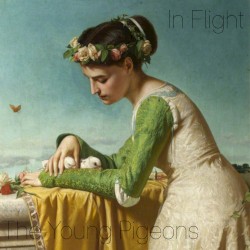In Flight