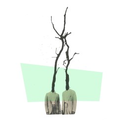 Branches
