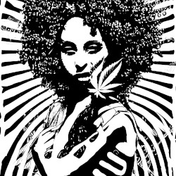 Makes No Sense But Nice