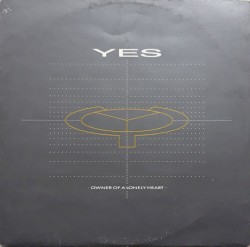 Owner of a Lonely Heart