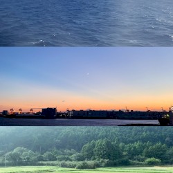 Landscapes
