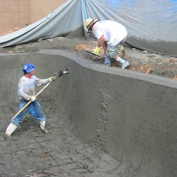 Surviving in America