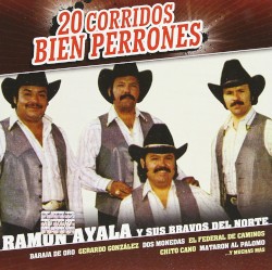 20 corridos bien perrones