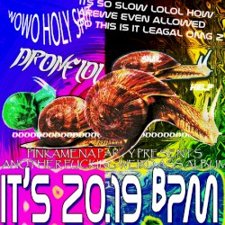 WHAT ARE YOU FUCKING SEEING RARITY (20.19 REMIX)