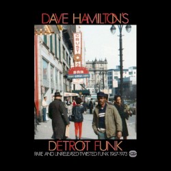 Dave Hamilton's Detroit Funk (Rare And Unreleased Twisted Funk 1967-1975)