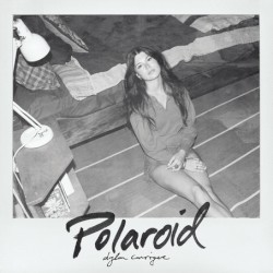 Polaroid