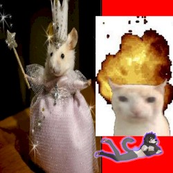 Ke$ha - TiK ToK (BASSDOG BOOTLEG)