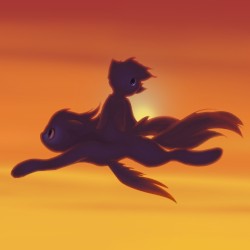 Wings Of The Rainbow