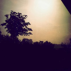 Crying and Day / Night