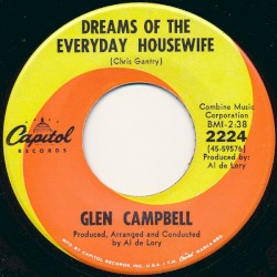 Dreams of the Everyday Housewife / Kelli Hoedown