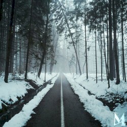 Love in the Dark (Acoustic)