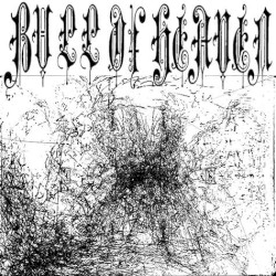 328: In Your Soft Authority