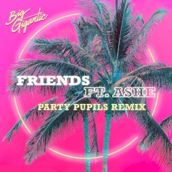 Friends (Party Pupils remix)