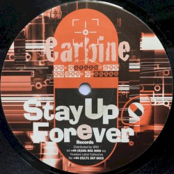 It's Funky, but It Ain't House / Stapled to Bits