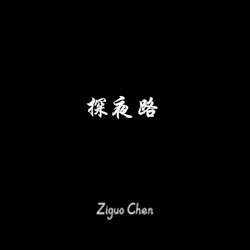 探夜路