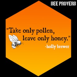 Bee Proverb (instrumental)