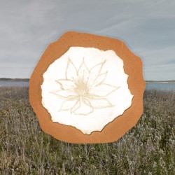 Total Wreck of Former Wastelife
