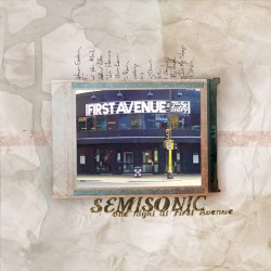 One Night at First Avenue