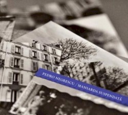 Mansarda Suspendată