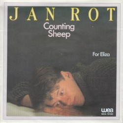 Counting Sheep / For Eliza