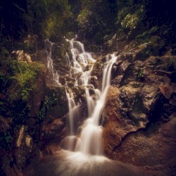 Higher Realms