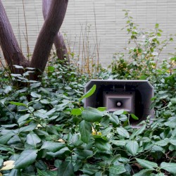 Muzak for the Encouragement of Unproductivity