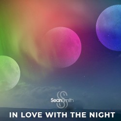 In Love With The Night