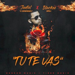Tú te vas
