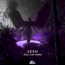 Seen (Paul Flint remix)