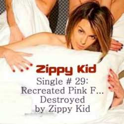 Single # 29:Recreated Pink F… Destroyed by Zippy Kid