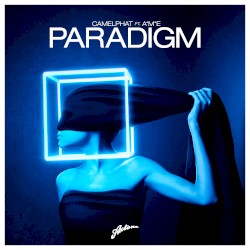 Paradigm (radio edit)