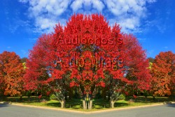 Shamung Cheese Factory Tour