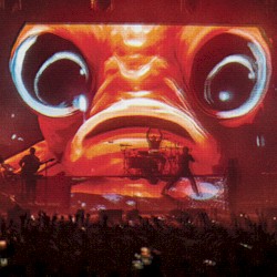 Sssnakepit (Live at Wembley)