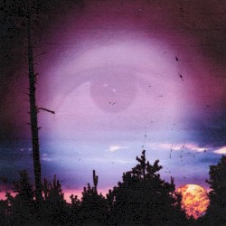 Confidence (Slow Magic Remix)