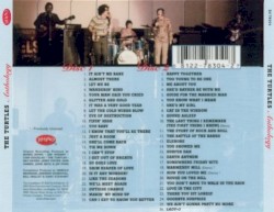 Solid Zinc: The Turtles Anthology