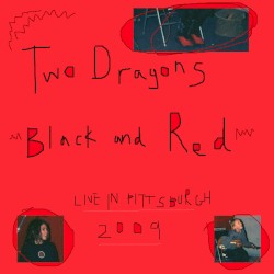 Live in Pittsburgh 2009