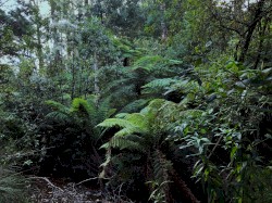 Apocrypha Construction II (The Sum of Lesser Parts)