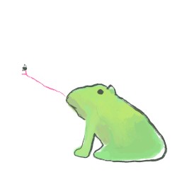 porcelain frogs