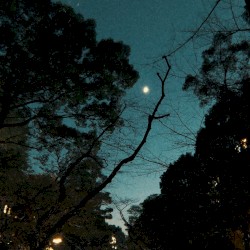 Fractures On The Horizon